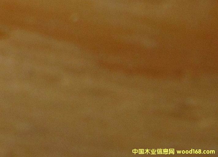 ����鿴��ľľƤ�Ŵ�ͼƬ