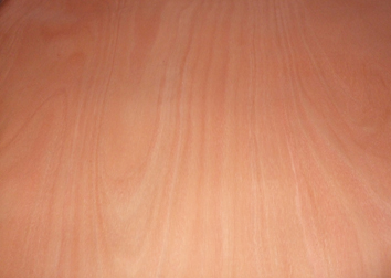 ����鿴1.5cmϸľ����Ŵ�ͼƬ