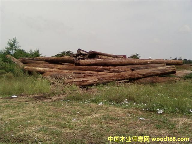 ����鿴���޻���ľ�Ŵ�ͼƬ