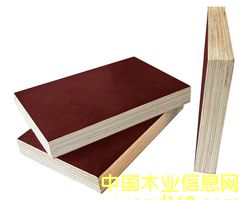 ����鿴��Ĥ����Ĥ��Ŵ�ͼƬ