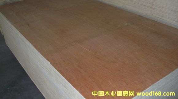 ����鿴���ϰ����ϸ����