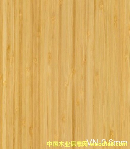 ����鿴��Ƥ ������Ƭ ��Ҿ�����Ŵ�ͼƬ