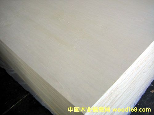 ����鿴��ľ���ϰ�Ŵ�ͼƬ