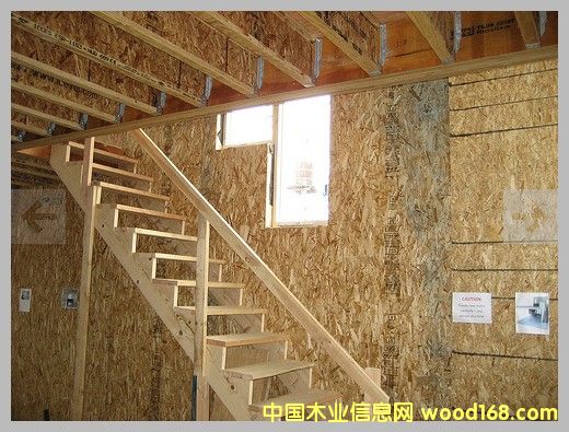 OSB/�����ٻ���/ŷ�ɰ����ϸ����