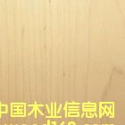 ����鿴���뽺�ϰ�Ŵ�ͼƬ