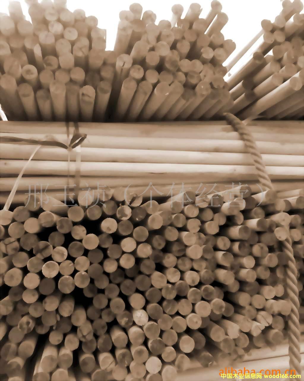 ����鿴��ľľ��ľ���Ŵ�ͼƬ