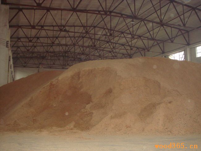 ����鿴��ĩ�Ŵ�ͼƬ