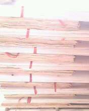 ����鿴��ľ����Ŵ�ͼƬ