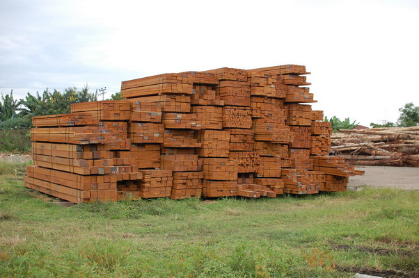 ����鿴����ľ�ķŴ�ͼƬ