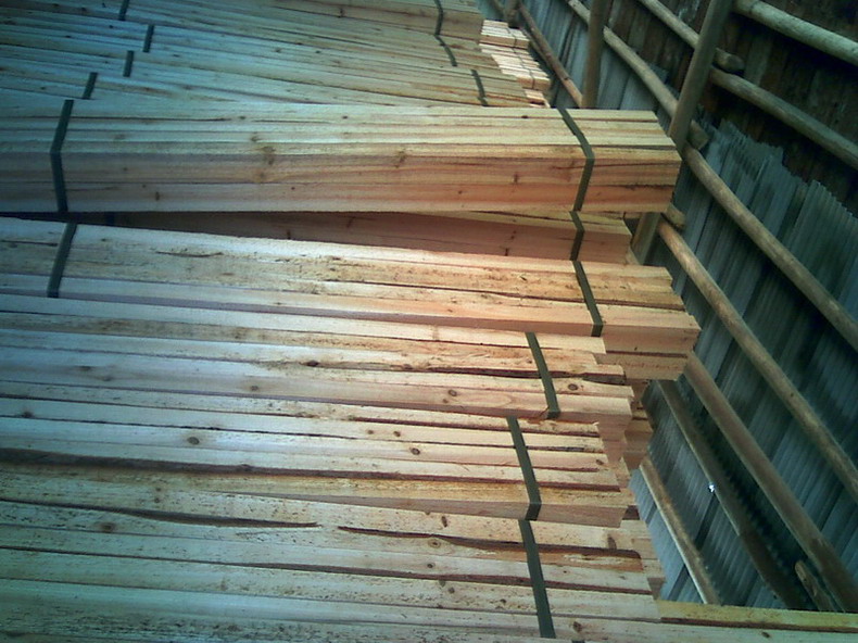 ����鿴ɼľ���Ŵ�ͼƬ