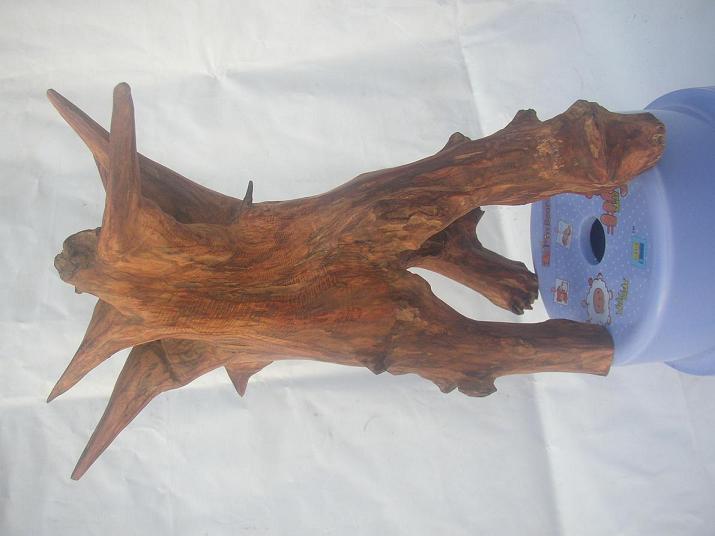 ���ϻƻ������Ŷ�