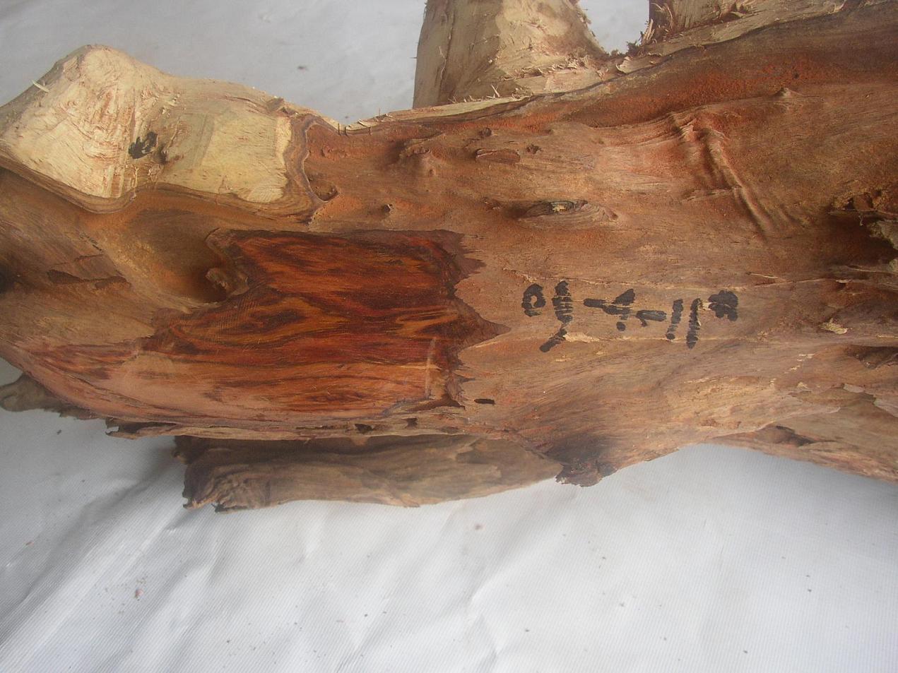 ���ϻƻ���09-4-11#