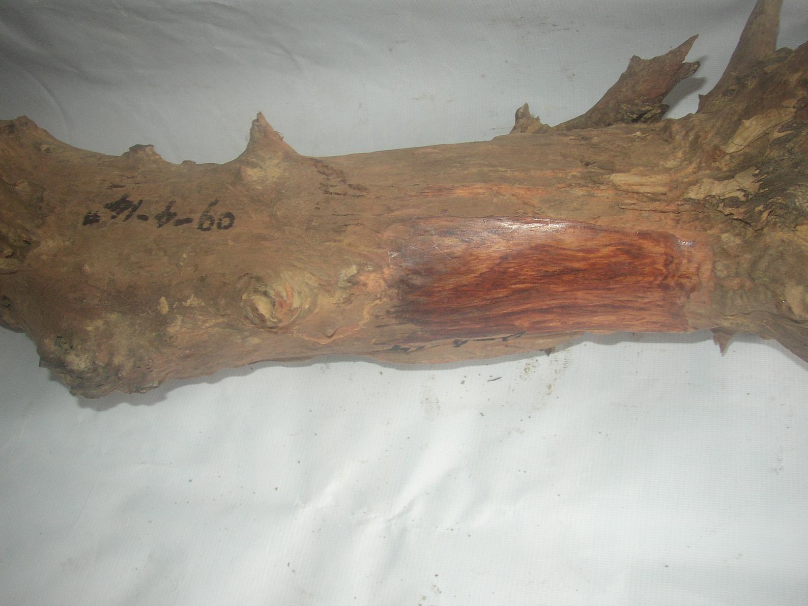 ���ϻƻ���09-4-14#