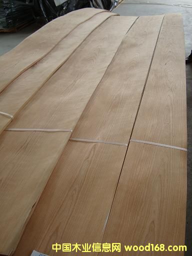 ����鿴ӣ��ľƤ�Ŵ�ͼƬ