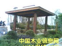 ����鿴��ͤ����ϸ����