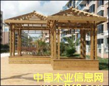 ����鿴��ͤ����ϸ����