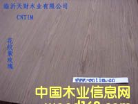 ����鿴������õ�������Ŵ�ͼƬ