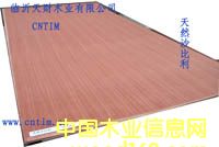 ����鿴��Ȼɳ���������Ŵ�ͼƬ