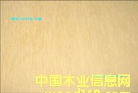 ����鿴��ͩ�����Ŵ�ͼƬ