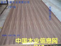 ����鿴��Ȼ�ڽ��������Ŵ�ͼƬ