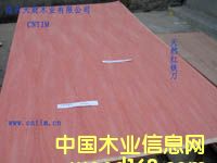 ����鿴��Ȼ�����������Ŵ�ͼƬ