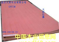 ����鿴��Ȼ���������Ŵ�ͼƬ