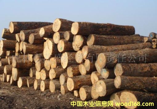 ����鿴��ľԭľ�Ŵ�ͼƬ