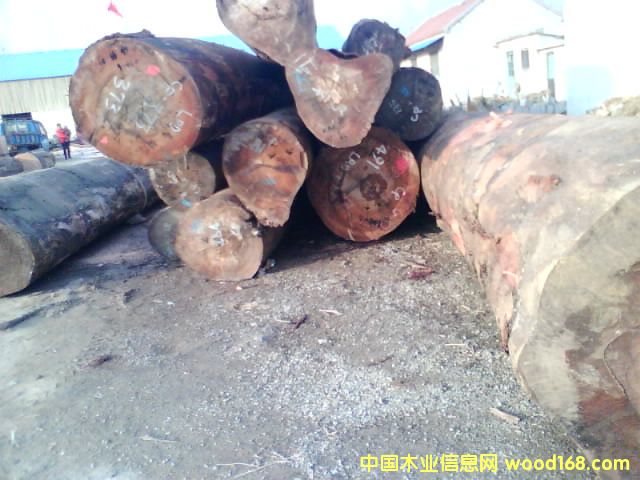 ����鿴��ľԭľ�Ŵ�ͼƬ