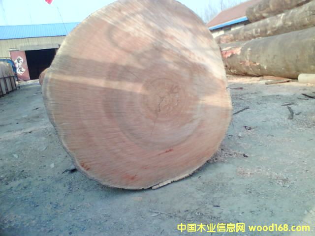 ����鿴����ҷŴ�ͼƬ