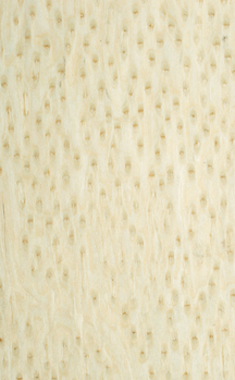 ����鿴�Ƽ�����ľƤ�Ŵ�ͼƬ