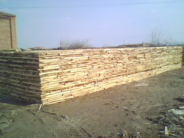 ����鿴��ľľ���Ŵ�ͼƬ