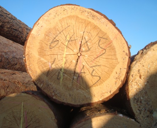 ����鿴�����ɷŴ�ͼƬ