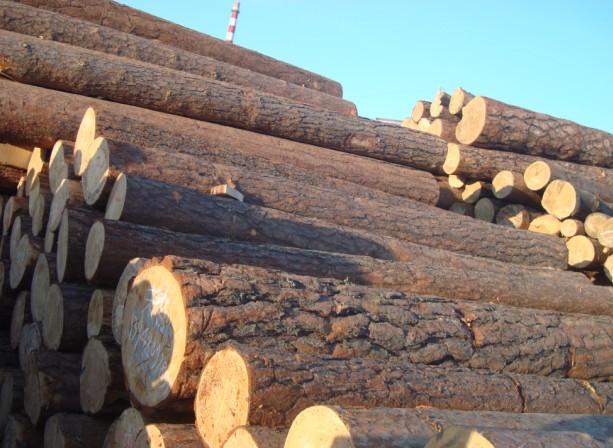 ����鿴�����ɷŴ�ͼƬ