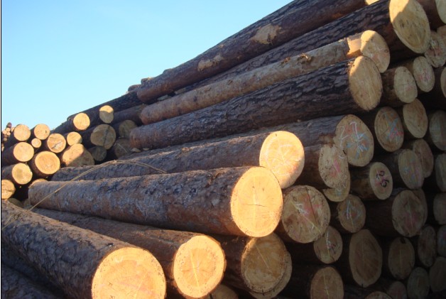 ����鿴�����ɷŴ�ͼƬ