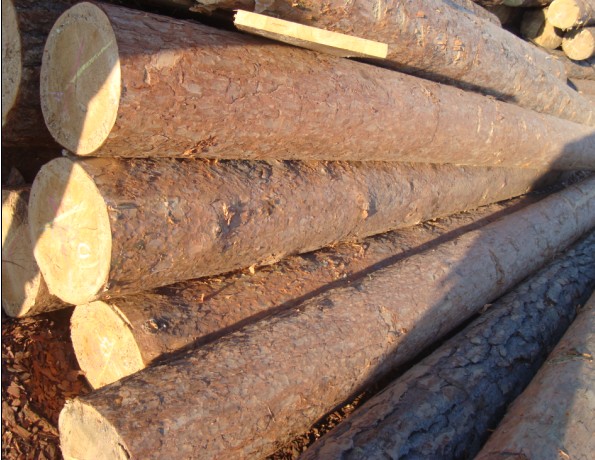 ����鿴�����ɷŴ�ͼƬ