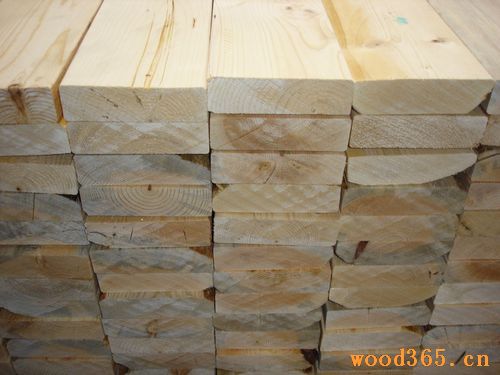 ����鿴����SPF�Ŵ�ͼƬ