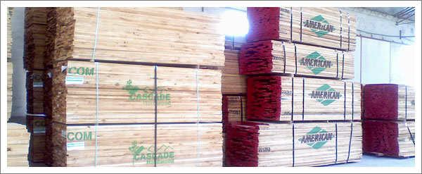 ����鿴ӣ��ľ��ķŴ�ͼƬ