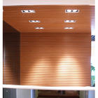 ������̬ľ