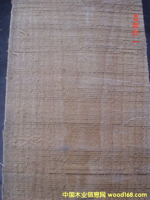 ����鿴��ľ��ϸ����
