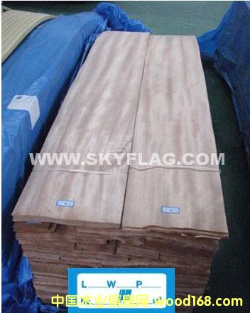���촺�ڴ���-0.6�����ֱ��  ��������