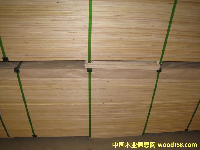 LVB������