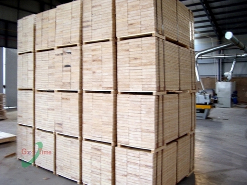 ��ľ ���ְ�LVB