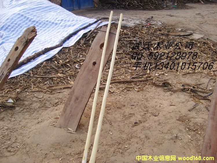 ������ѵ��������ϸ����