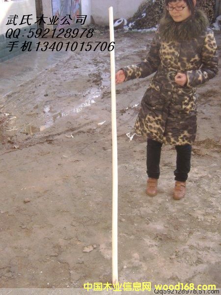 ��������������ϸ����