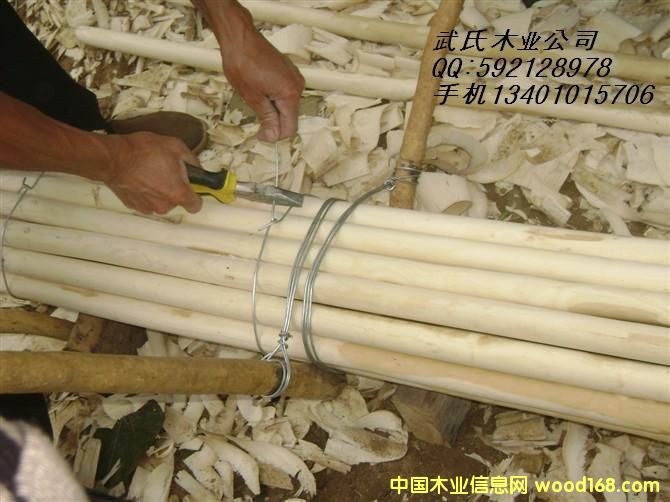 ����������������ϸ����