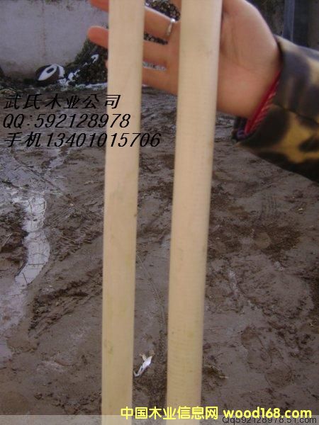 ��������ü������ϸ����