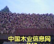 [] нľ12ף1.32.6׹ľ