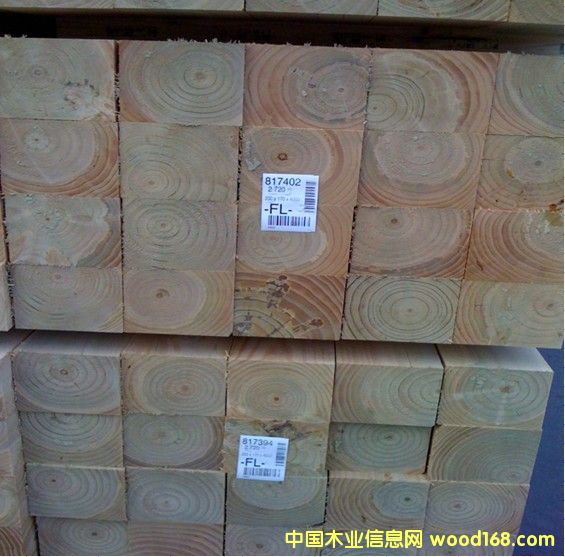 ����鿴�����ɰ�ķŴ�ͼƬ