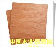 ����ģ�����ϸ����