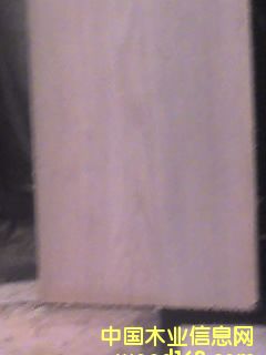 ����鿴��ľ�Ŵ�ͼƬ